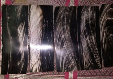 Buffalo Horn Plates
