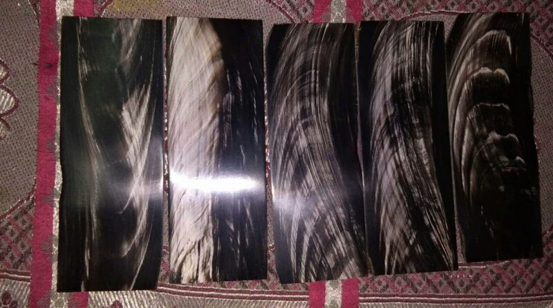 Buffalo Horn Plates