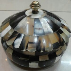 Buffalo Horn Bone Box