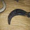 IMG-20180508-WA0007