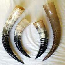 Decorative Horns